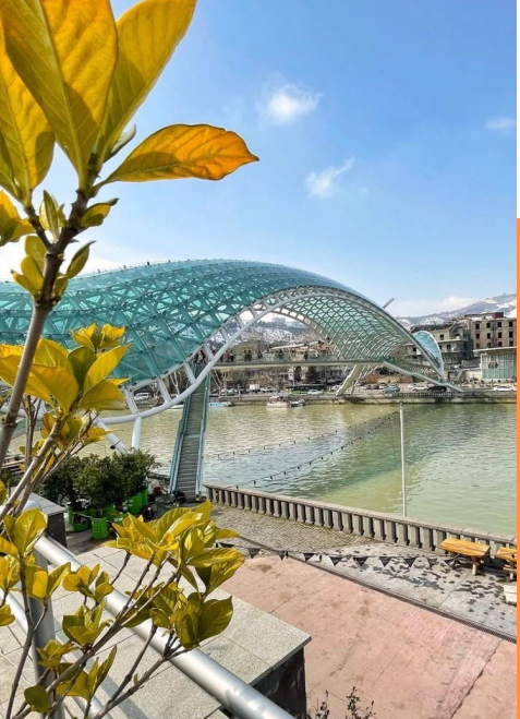 تبليسي امازون